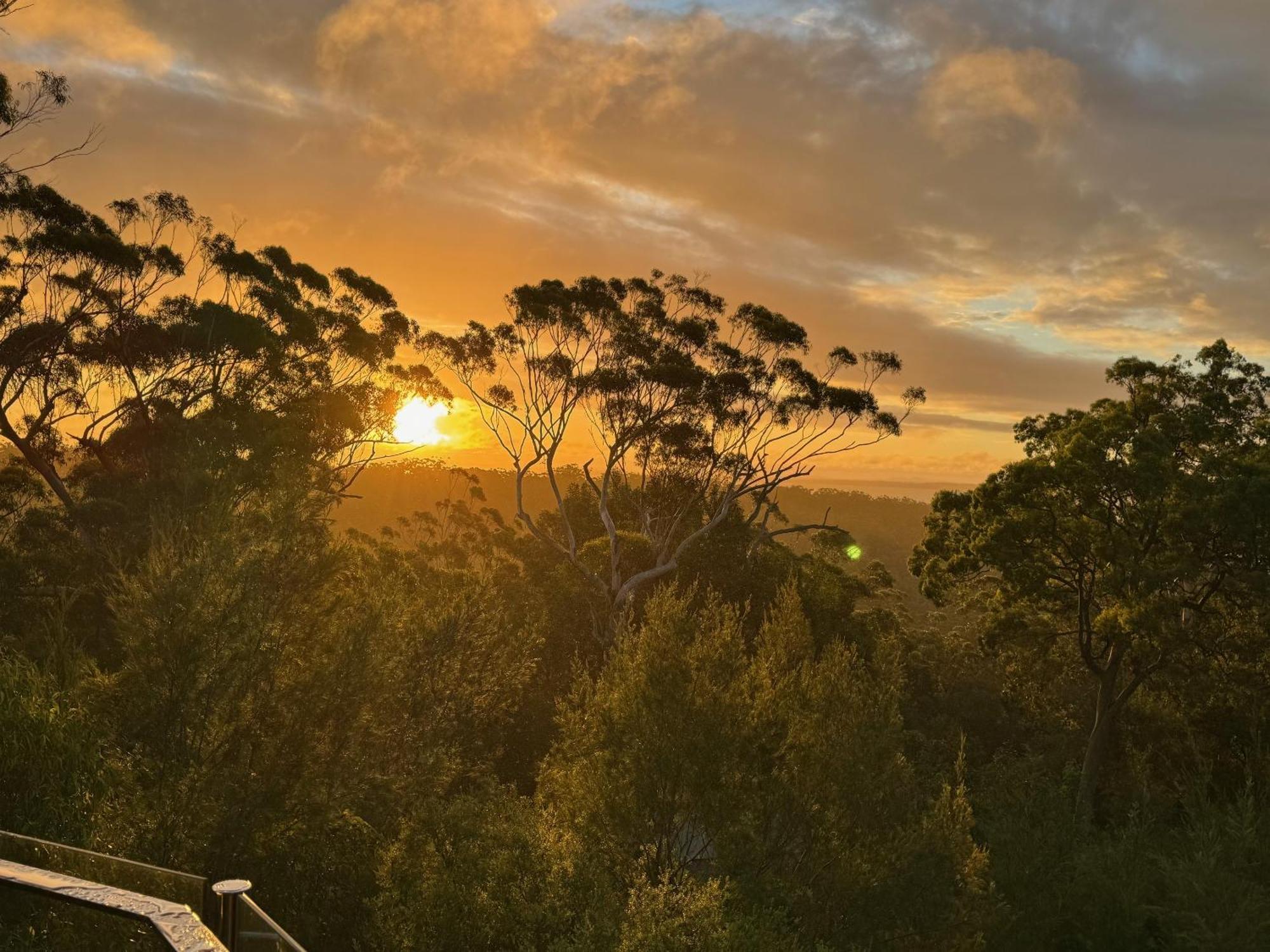Bushys Hilltop *