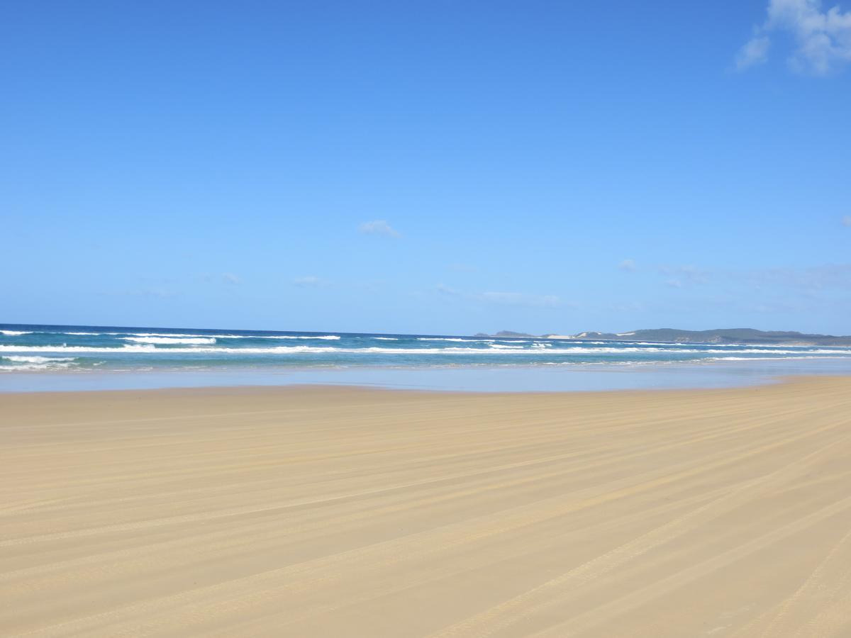 Forever Orchid * Fraser Island